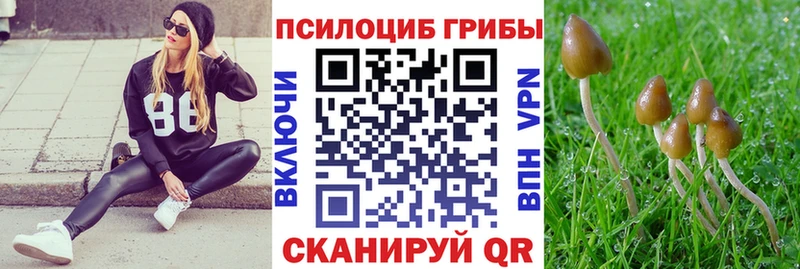 Псилоцибиновые грибы MAGIC MUSHROOMS  Ворсма 