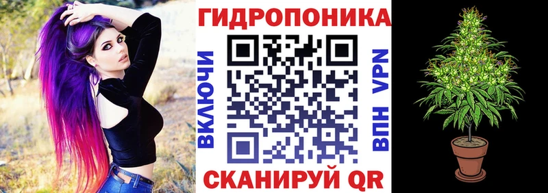 Шишки марихуана планчик  Ворсма 